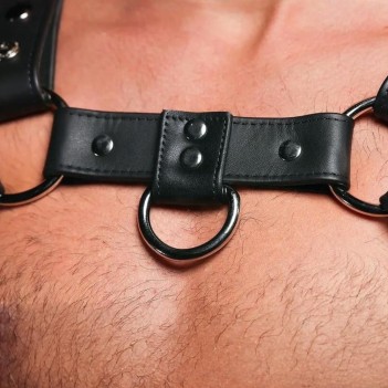 Silver snap bulldog harness