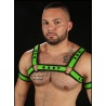 Neo Bold Bulldog Harness Lima 9261 1