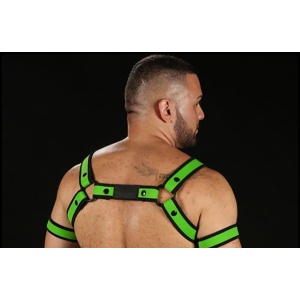 Neo Bold Bulldog Harness Lime 9262