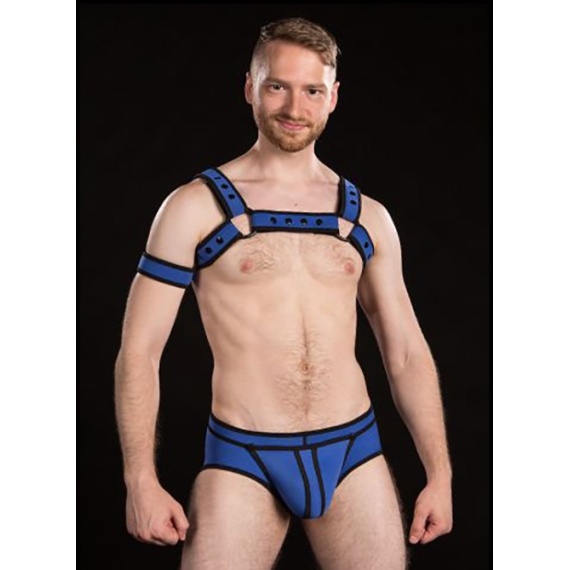 Neo Bold Bulldog Harness Royal 9274