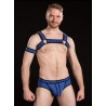 Neo Bold Bulldog Harness Royal 9274 1