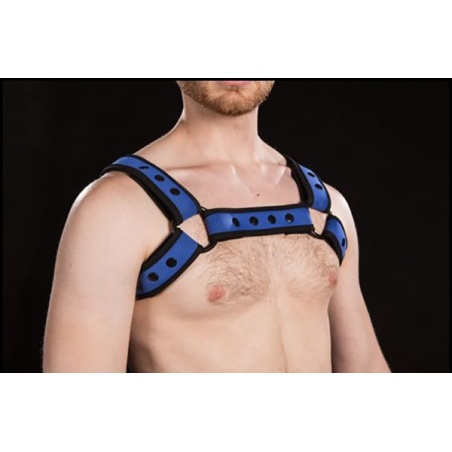 Neo Bold Bulldog Harness Royal 9275