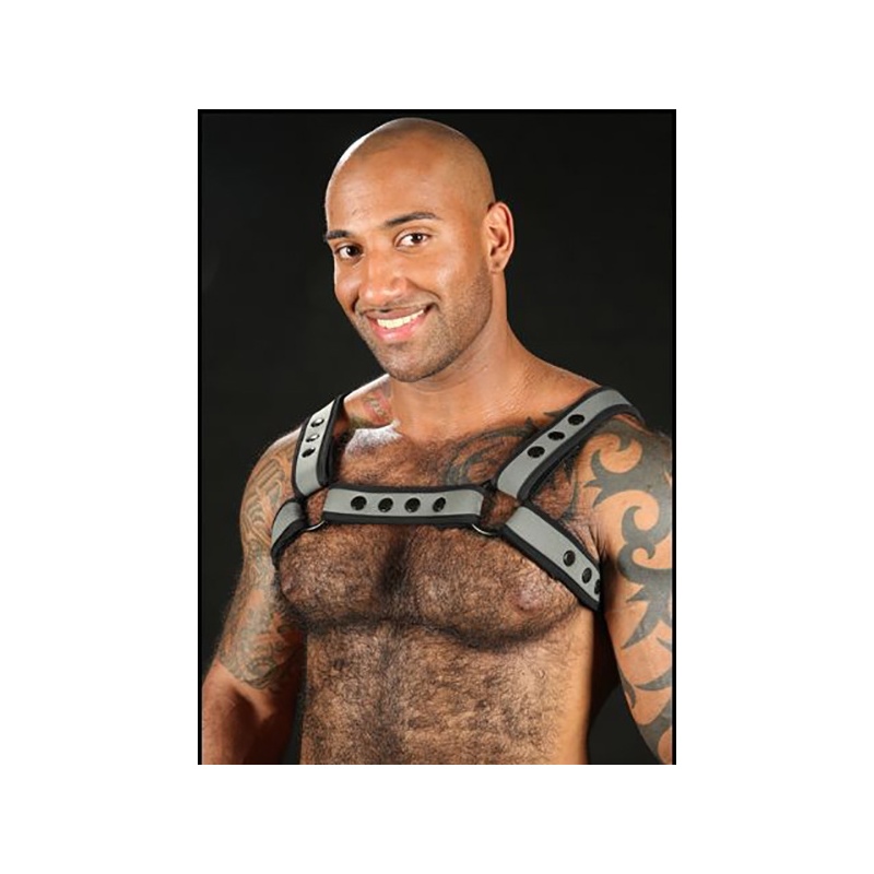 Neo Bold Bulldog Harness Grau 9336