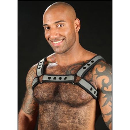 Neo Bold Bulldog Harness Grau 9336