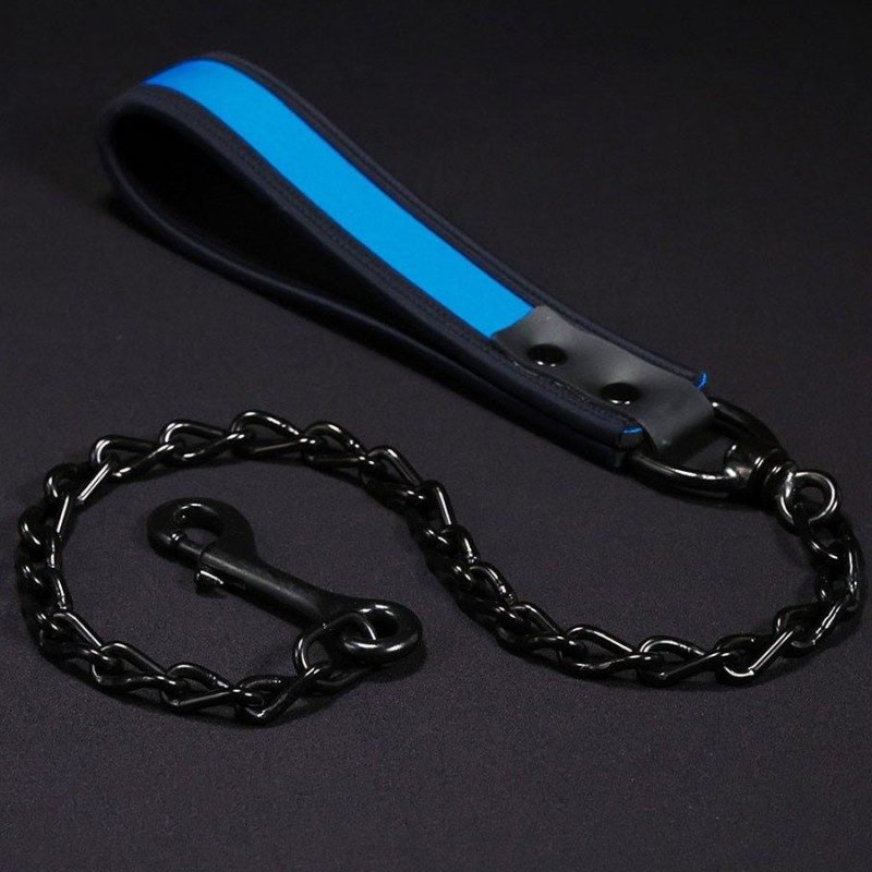 Neoprene Puppy Leash – Puppy Play Leash in 16 Colors