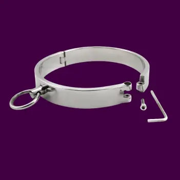 Classy Slave Collar – Collar de acero inoxidable macizo