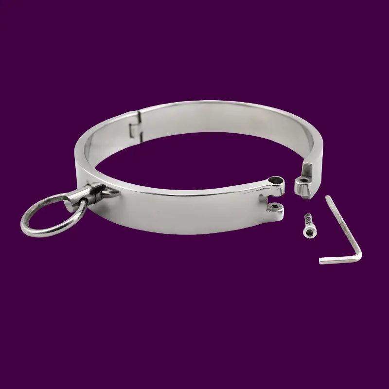 Classy Slave Collar – Collar de acero inoxidable macizo