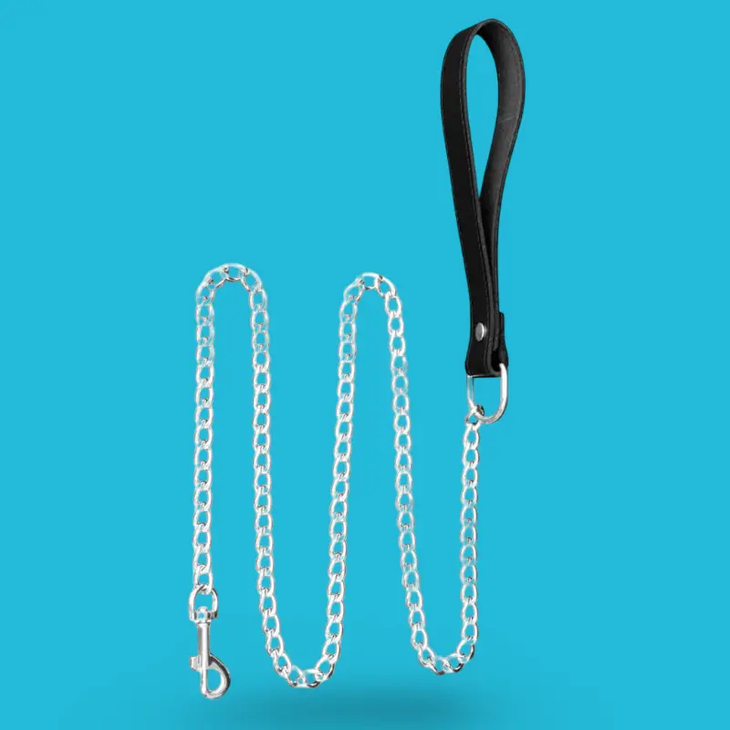 BDSM Chain Leash with Black Leather Handle