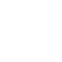 Mister B
