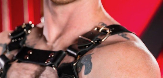 mr s leather