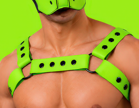 harnais silicone Mr S Leather