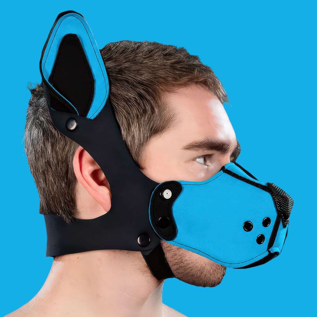 neoprene K9 Muzzle kit