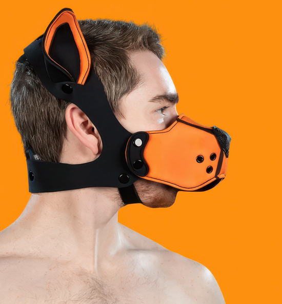 Vêtements accessoires fetish Puppy