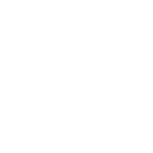 ZENN