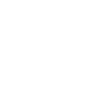 ADRIEN LASTIC
