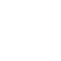 FIST IT
