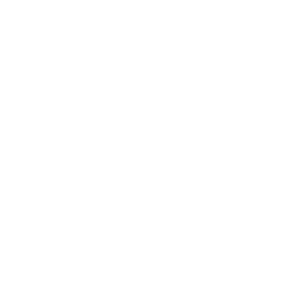 LIQUID SILK