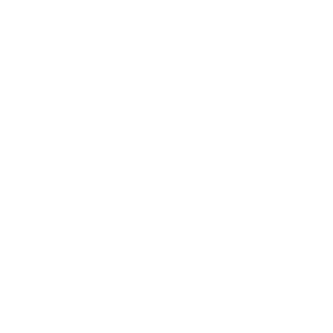 ALIVE Bdsm