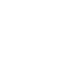 ALIVE Jelly Dildos