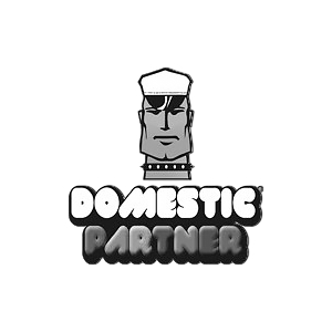 DOMESTIC PARTNERS
