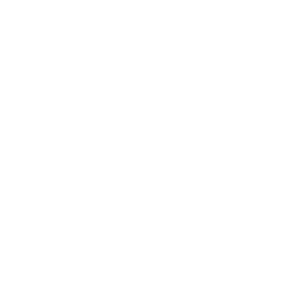 FIST UK | SKYHI