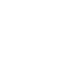 FIST CLUB