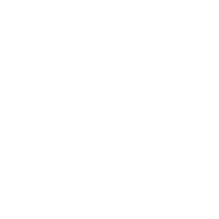 FORT TROFF