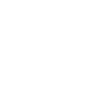 FORT TROFF