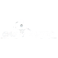 GASMASTER