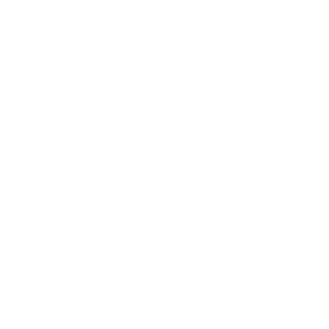 JOY DIVISION
