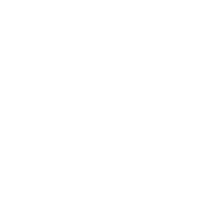 MASTER SERIES