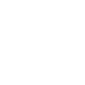 Mister B