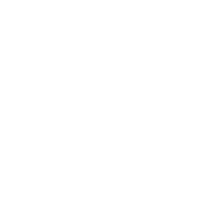 NS NOVELTIES