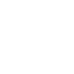 NS NOVELTIES