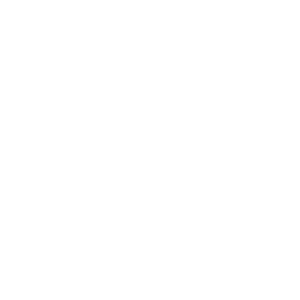 ROUGH TRADE