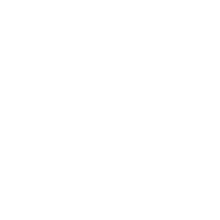 SILEX D