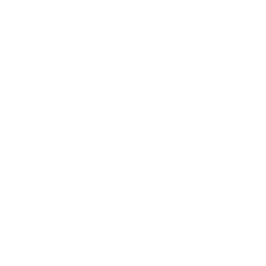 SK8TERBOY