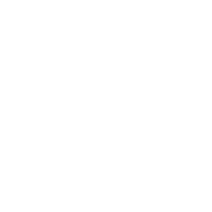 SLAM DUNK