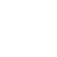 SWISS NAVY