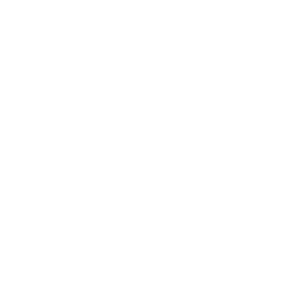 SWISS NAVY