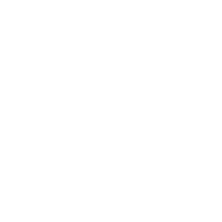 THE FP COMPANY