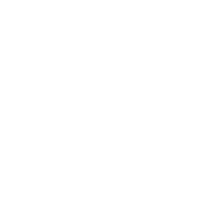 THE FP COMPANY