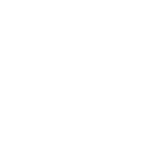 TOM OF FINLAND