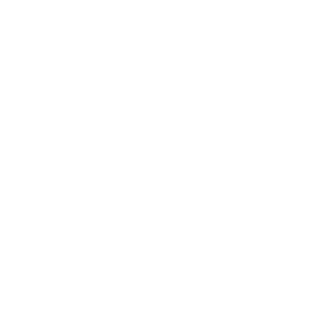 XR BRANDS