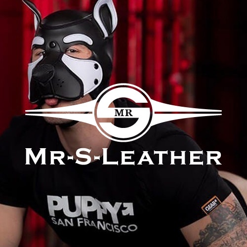 Mr S Leather